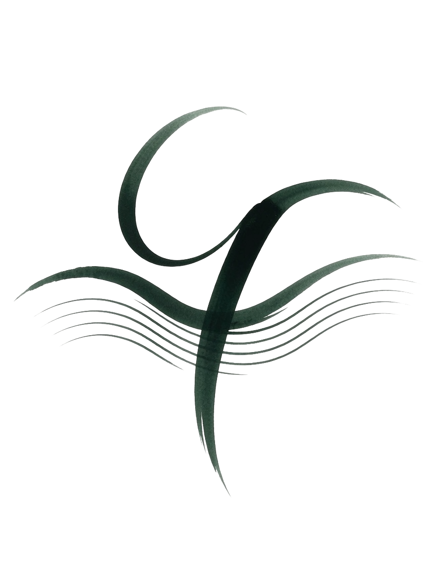 Cristian Tovo Logo